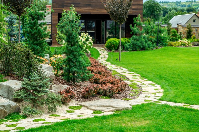 Stone Pathway and Patio