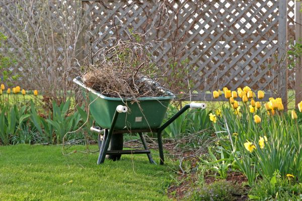 Flower Bed Cleanup Service in Gilbert