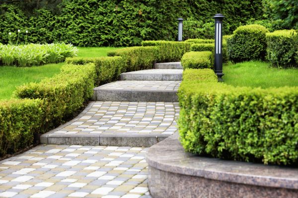 Backyard Remodeling in Gilbert