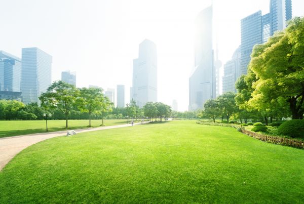 Commercial Landscape Maintenance in Gilbert