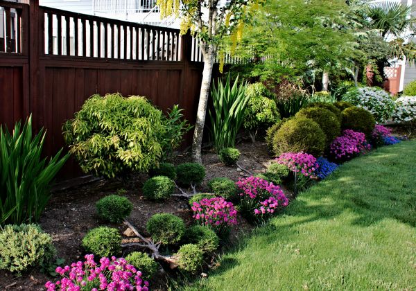 Garden Care Service in Gilbert