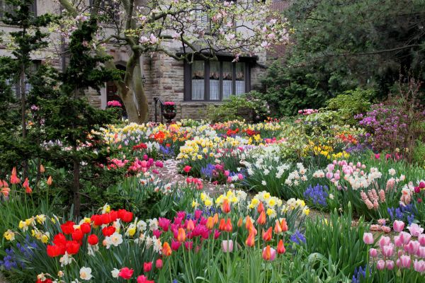 Garden Maintenance Service in Gilbert