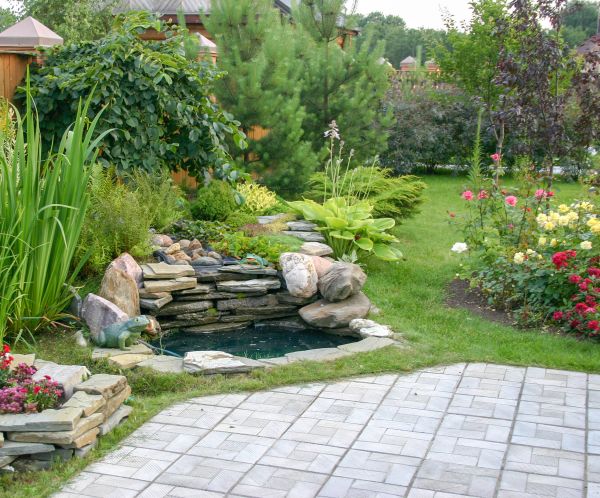 Landscaping Design Service in Gilbert