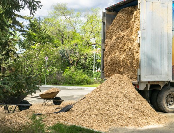 Wood Chips Delivery in Gilbert