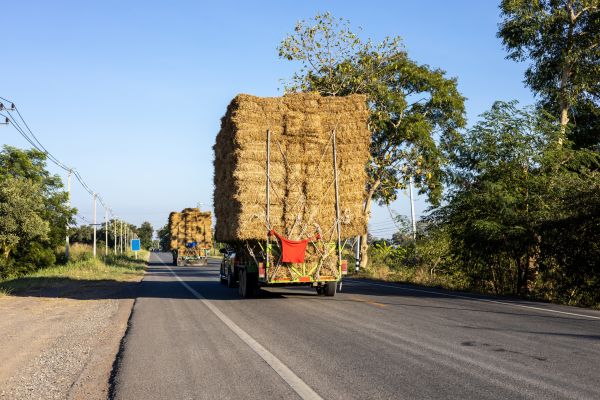 Pine Straw Delivery in Gilbert