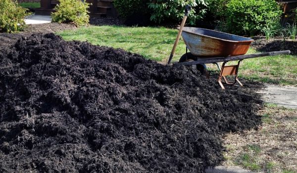 Black Mulch Delivery in Gilbert