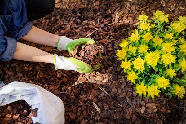 Garden Mulching in Gilbert