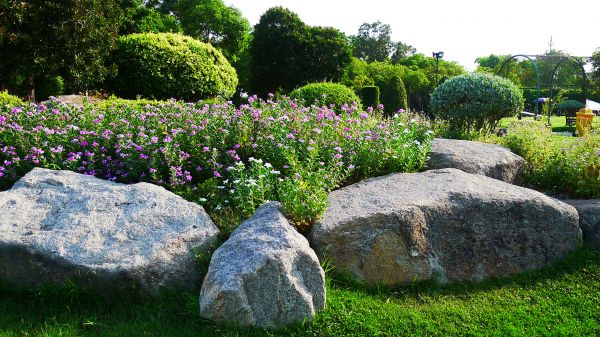 Boulder Landscaping in Gilbert