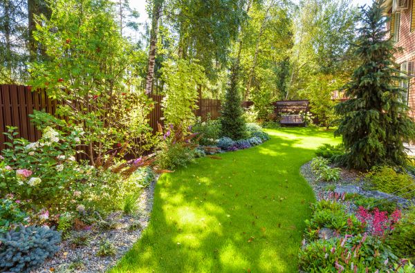Residential Landscape Service in Gilbert