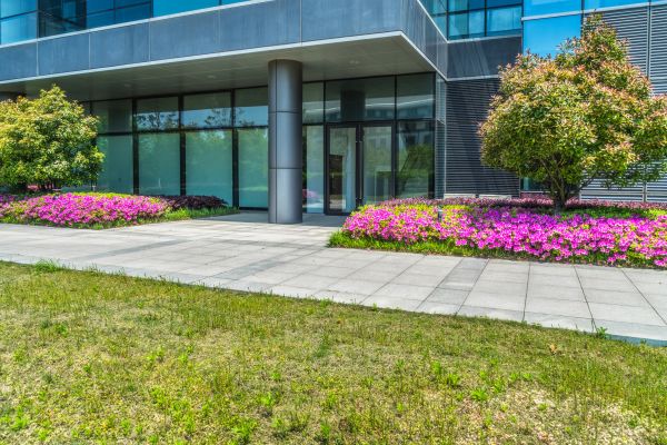 Commercial Gardening in Gilbert