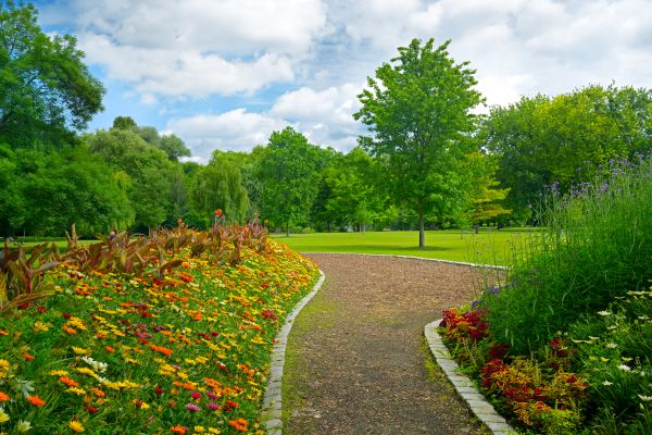 Park Landscaping in Gilbert