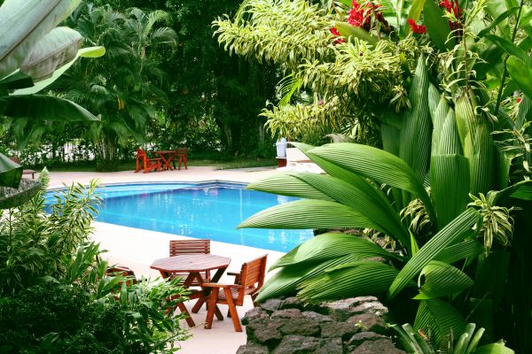 Tropical Garden Landscaping in Gilbert