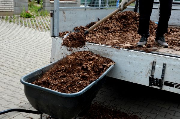Cypress Mulch Delivery in Gilbert