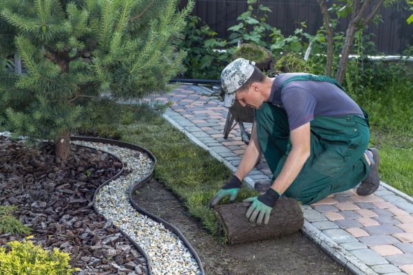 Landscaping Modification in Gilbert