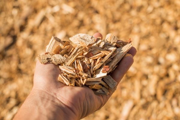 Wood Chips Spreading in Gilbert