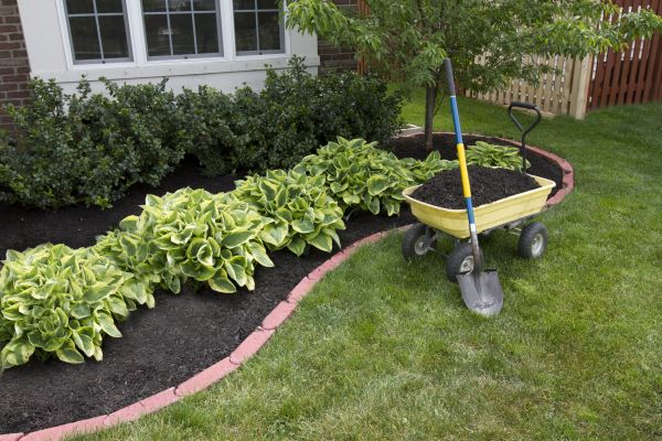 Landscape Mulching in Gilbert