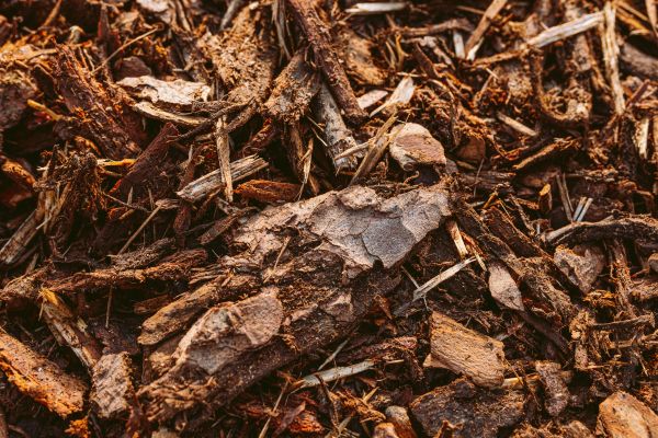 Bark Mulch Delivery in Gilbert