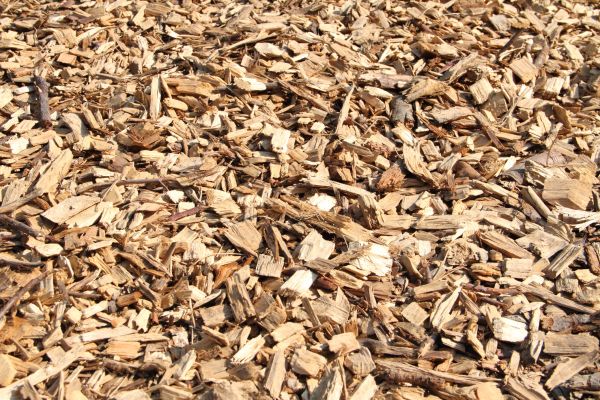 Wood Mulch Delivery in Gilbert