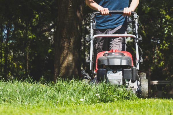 Garden Trimming Service in Gilbert