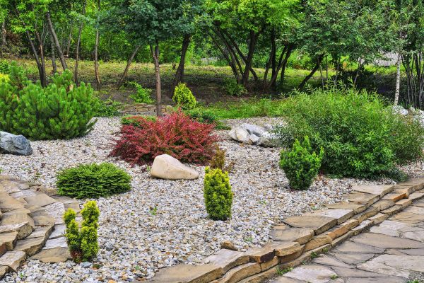 Hardscape Landscaping in Gilbert