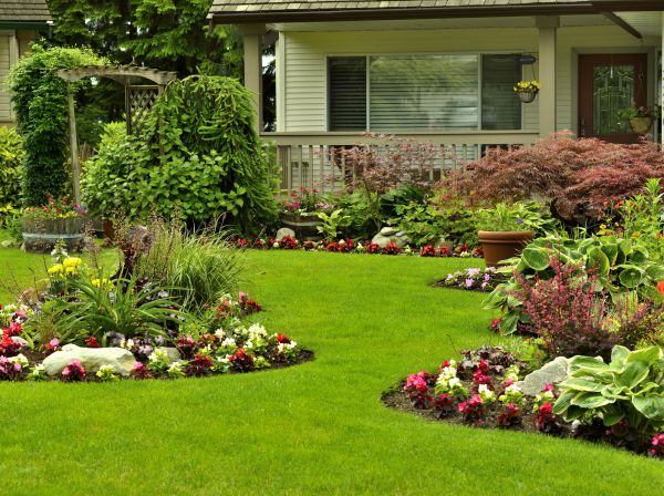 Flower Garden Planting in Gilbert