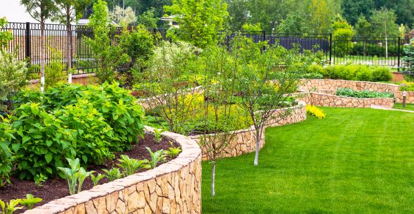Yard Makeover Service in Gilbert
