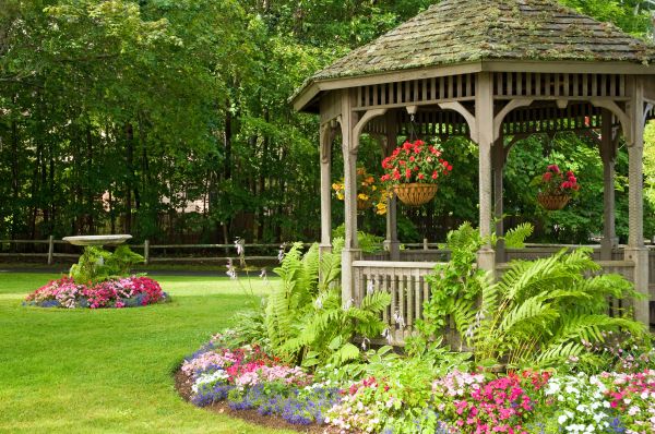 Backyard Landscaping Service in Gilbert