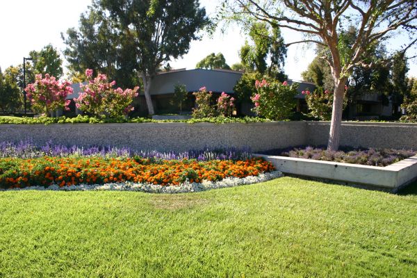 Commercial Landscape Service in Gilbert