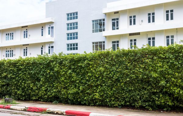 Privacy Landscaping in Gilbert