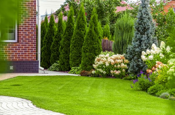 Spring Landscaping in Gilbert