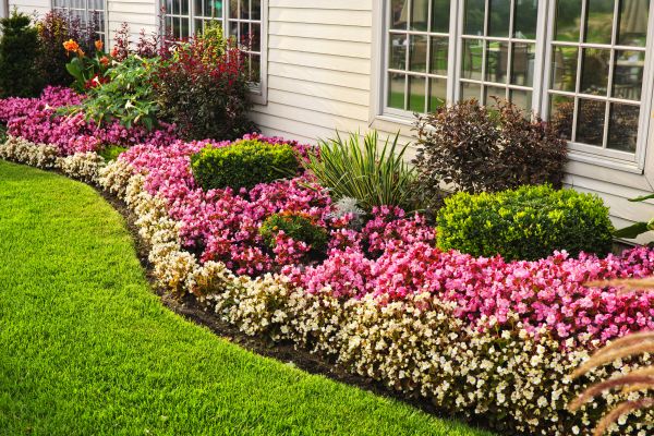 Garden Landscape Design in Gilbert