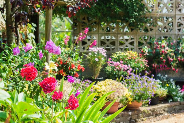 Spring Garden Maintenance in Gilbert