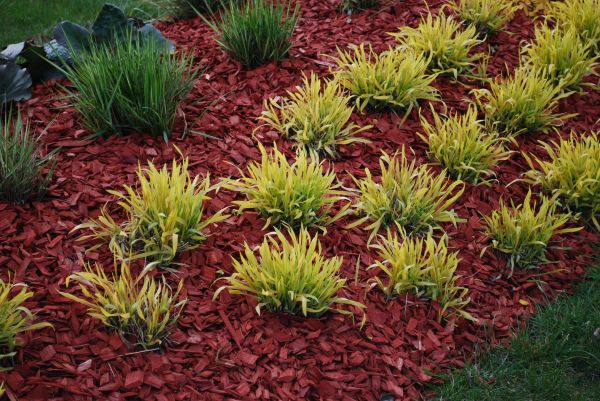 Red Mulch Installation in Gilbert