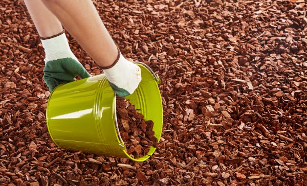 Wood Chip Landscaping in Gilbert