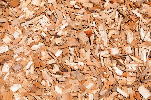 Cypress Mulch Spreading in Gilbert