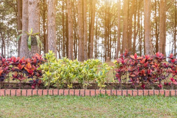 Small Garden Landscaping in Gilbert