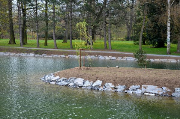 Pond Landscaping Service in Gilbert