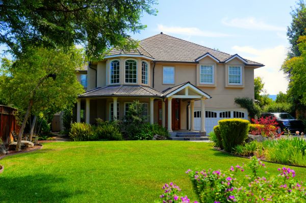 Large Yard Landscaping in Gilbert