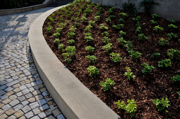 Commercial Mulching in Gilbert