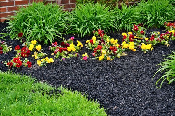 Apartment Mulching in Gilbert