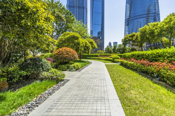 Commercial Landscaping in Gilbert